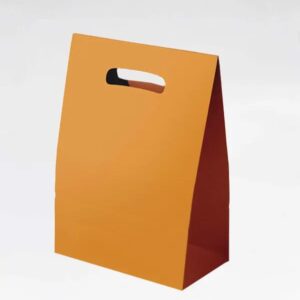 Custom Printed Bags1