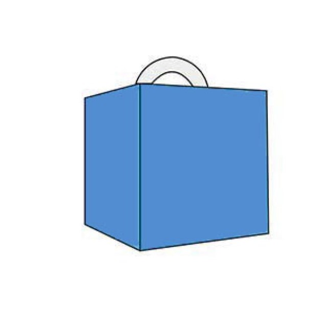 Cube Shaped Carrier
