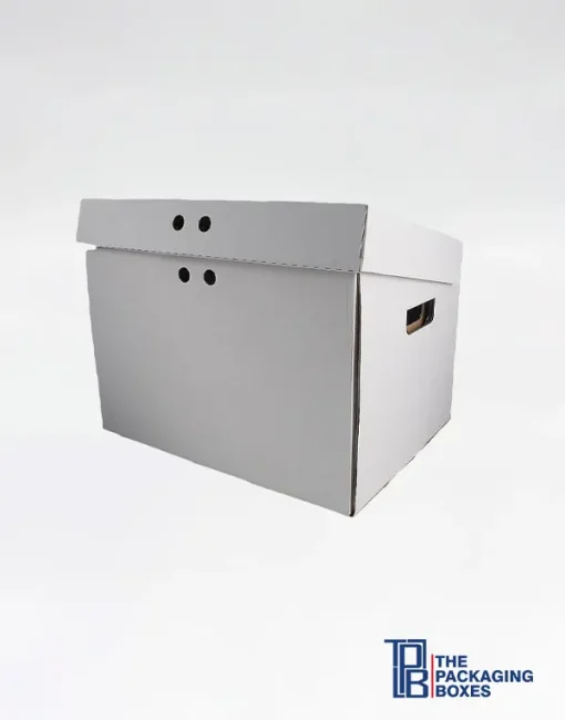 Custom Archive Boxes