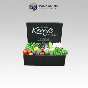 Salad Boxes