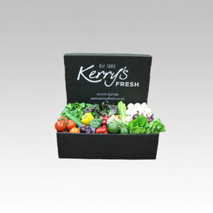 Salad Boxes1